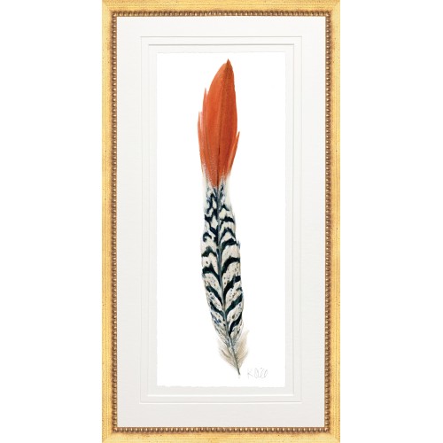 KS- PHEASANT FEATHER 3